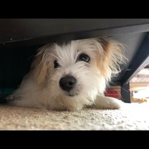 Meet your Posher, Angela